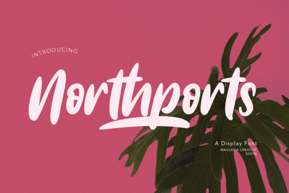 Northports: Elevating Everyday Design with Brushed Charm